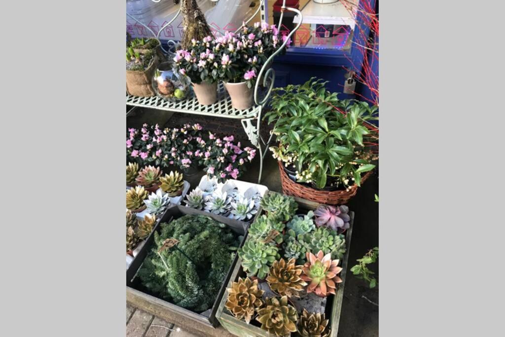 Marylebone Mayfair Hyde & Regents Park W1 London Ngoại thất bức ảnh